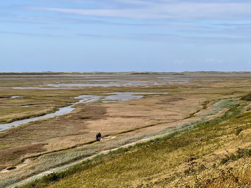 2025-06 - Texel Landscapes - 2025-06-23 17.47.48-1.nice.editted
